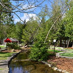 Mini Golf